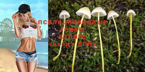 спайс Алексеевка